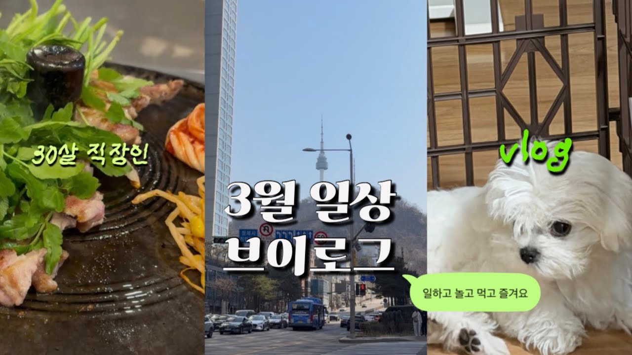 3월의 일상(서울 명동 나들이,목구멍 미나리 삼겹살,코스트코 장보기,스타필드고양,,코스트코 도시락 만들기,집밥 만들기)