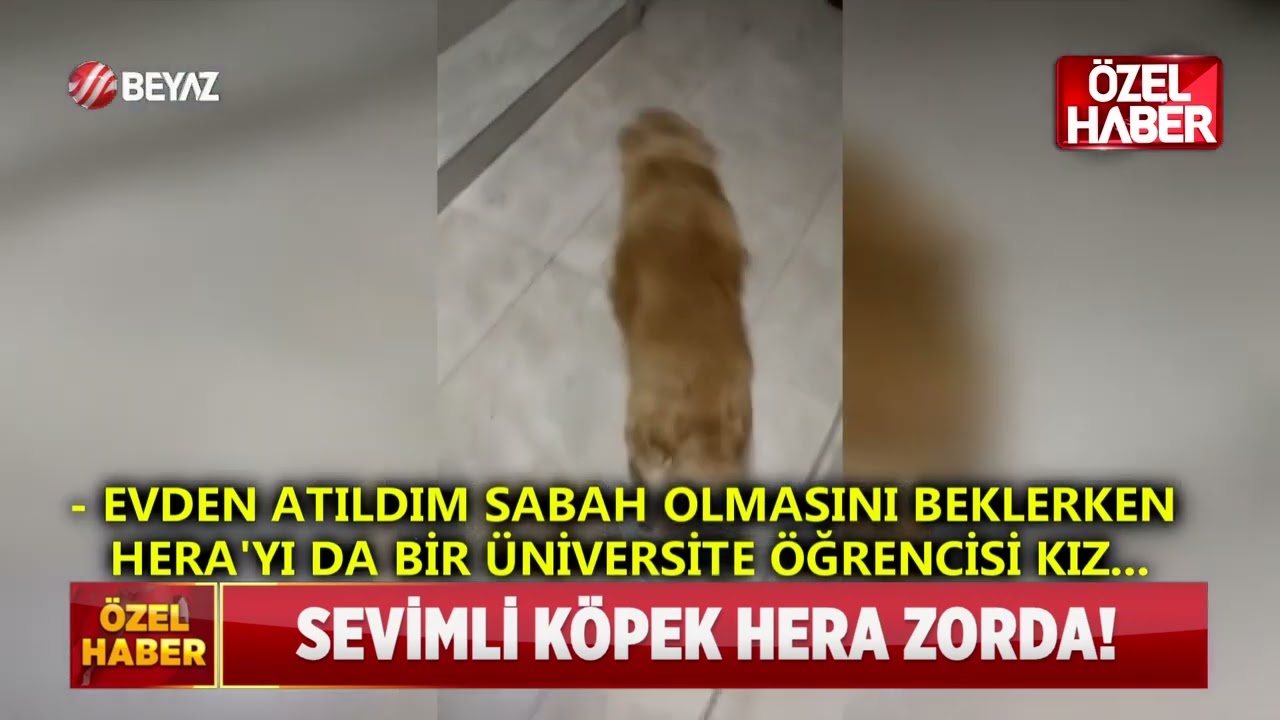 Hera Beyaz Tv Ana Haberde