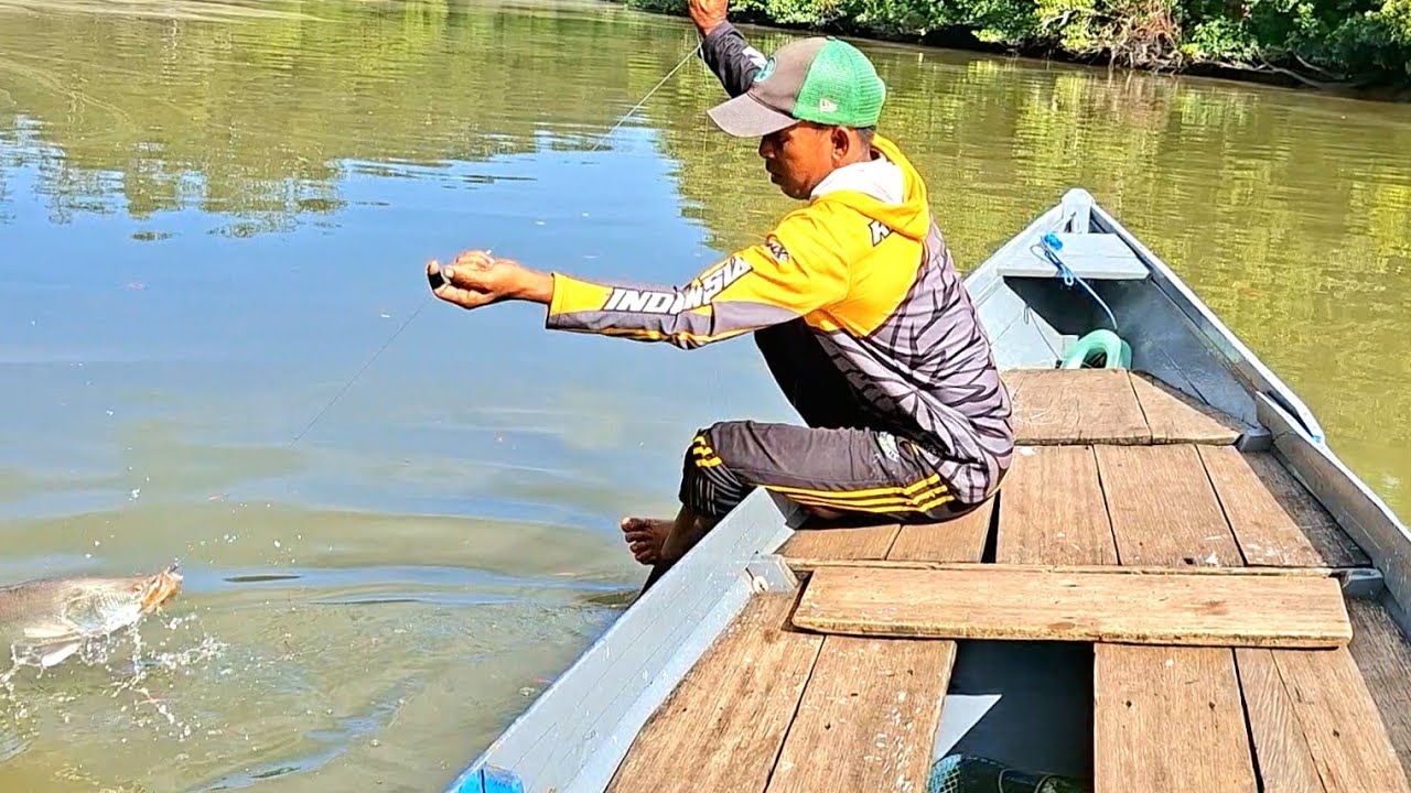 PANCING DISERET KETENGAH SUNGAI LANGSUNG DISAMBAR BARRAMUNDI 