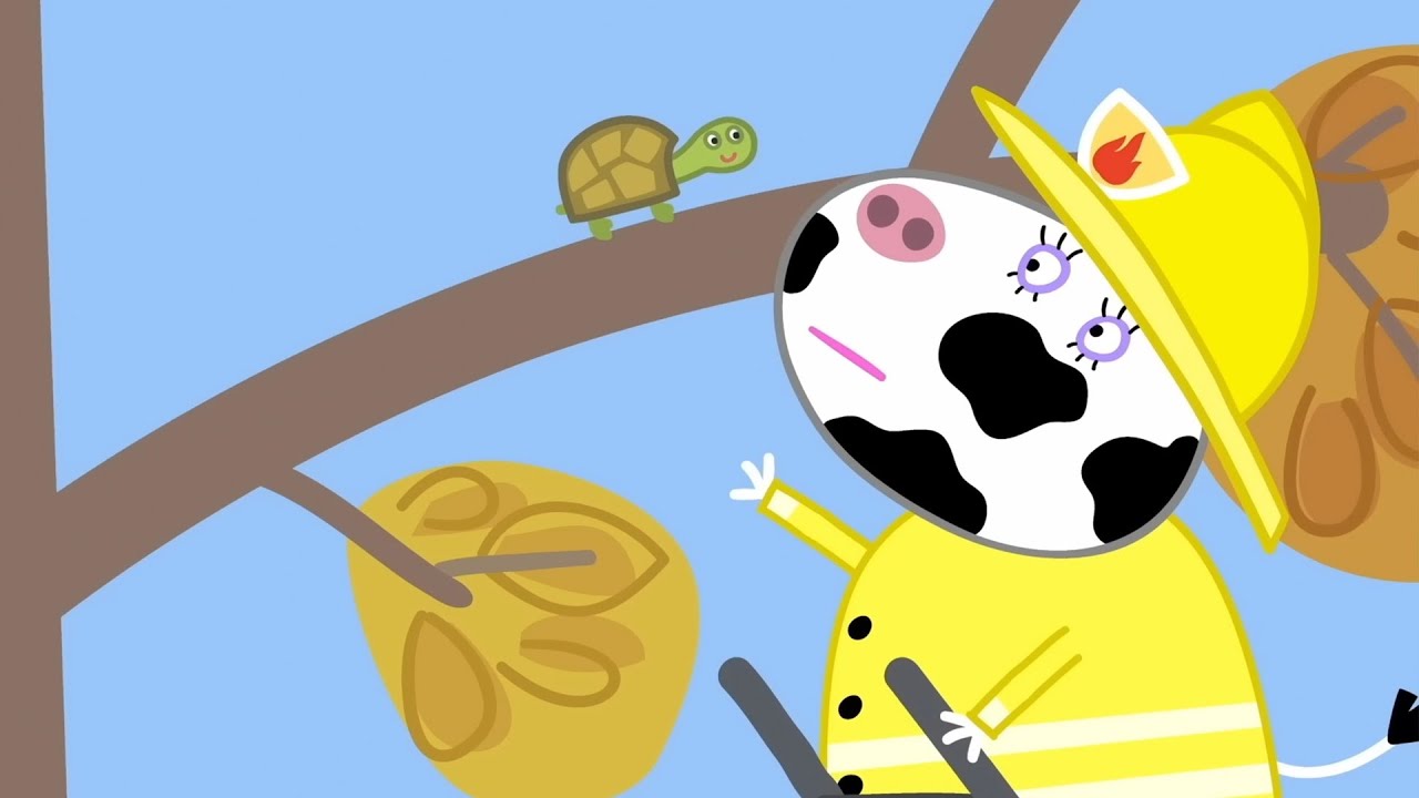 Peppa Pig Playground 🐢 | Doctor Hamster's Tortoise | Peppa Pig Full Episodes