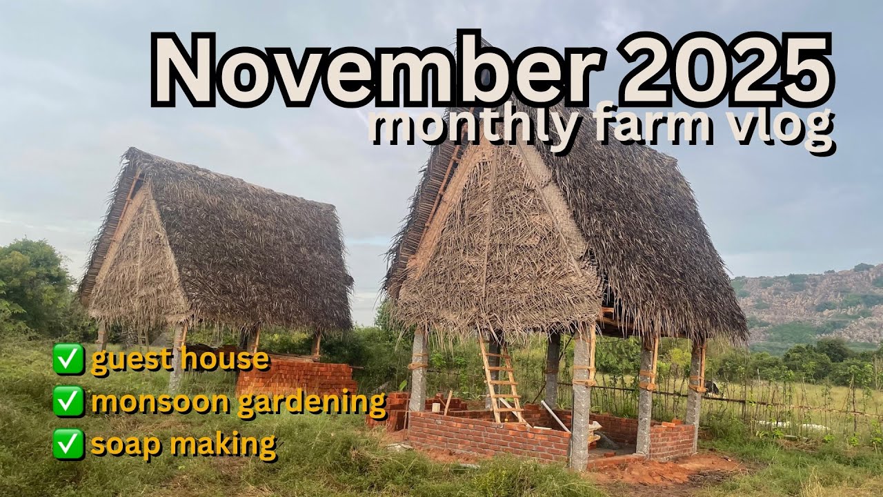 November 2025 recap | monthly farm vlog | guest house, monsoon gardening, crafts market &soap making