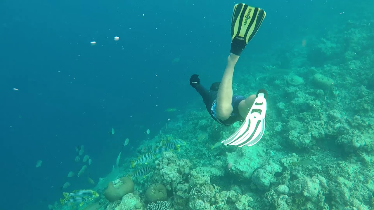 Snorkeling at Oblu Helengeli - Dec 2018