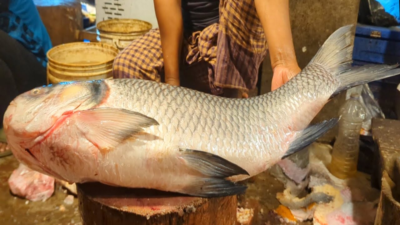 12KG Giant Catla Fish Cutting Skills In Bangladesh Fish Market| Fish Cutting Skills Live