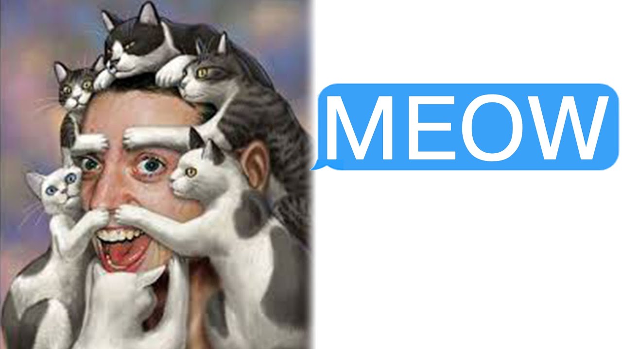 r/Bestof Чрезвычайно странный коллега одержим кошками