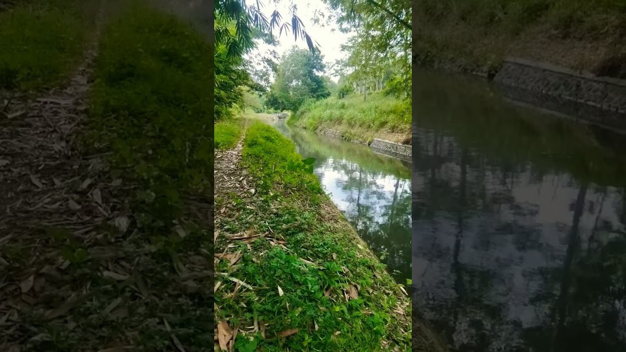saluran sekunder