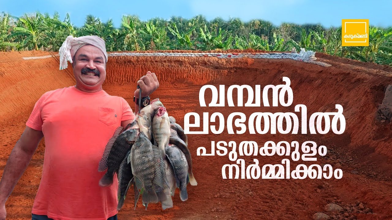 Padutha Kulam fish farming malayalam // പടുത കുളം നിർമ്മാണം // 15Cent Fish Farming&Pond Construction