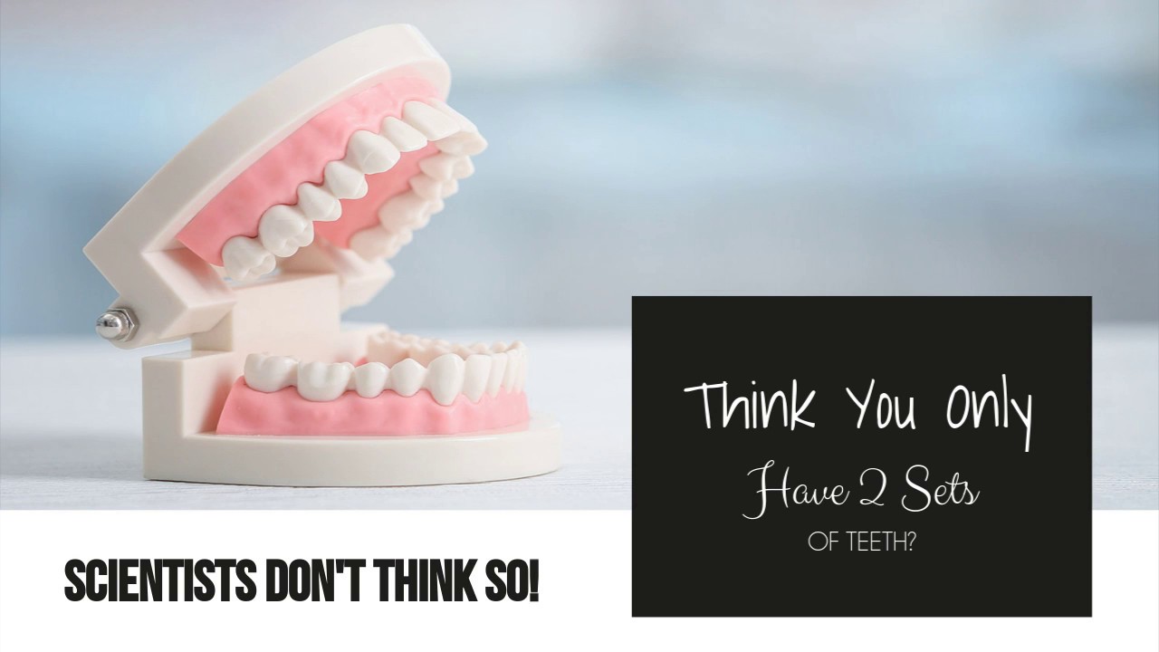 Stem Cells are the Future of Dentistry!