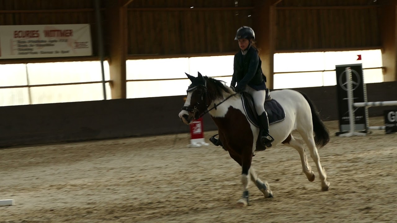 Catinga du Courty - P2 - 07/11/21 - Gaillon