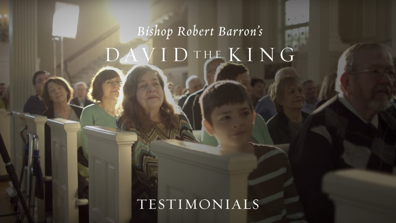 &ldquo;David the King&rdquo; by Bishop Barron - Testimonials