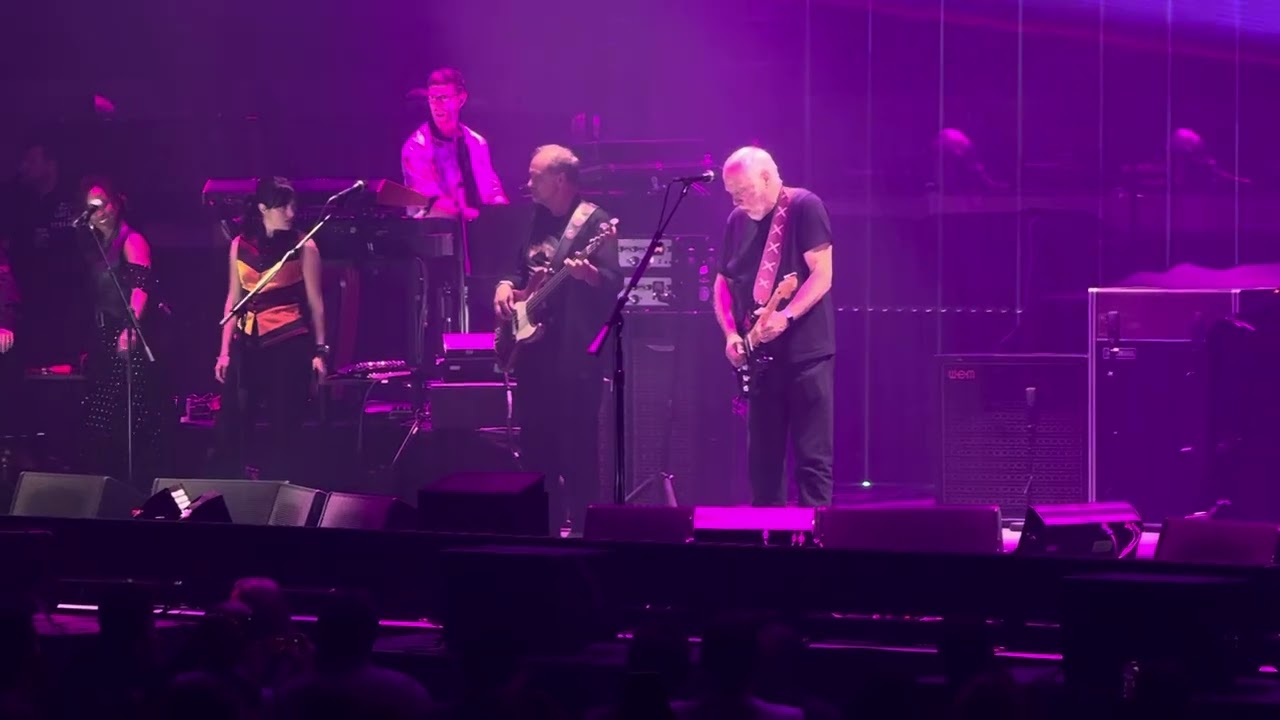 David Gilmore - Comfortably Numb - 11-5-24 - Madison Square Garden