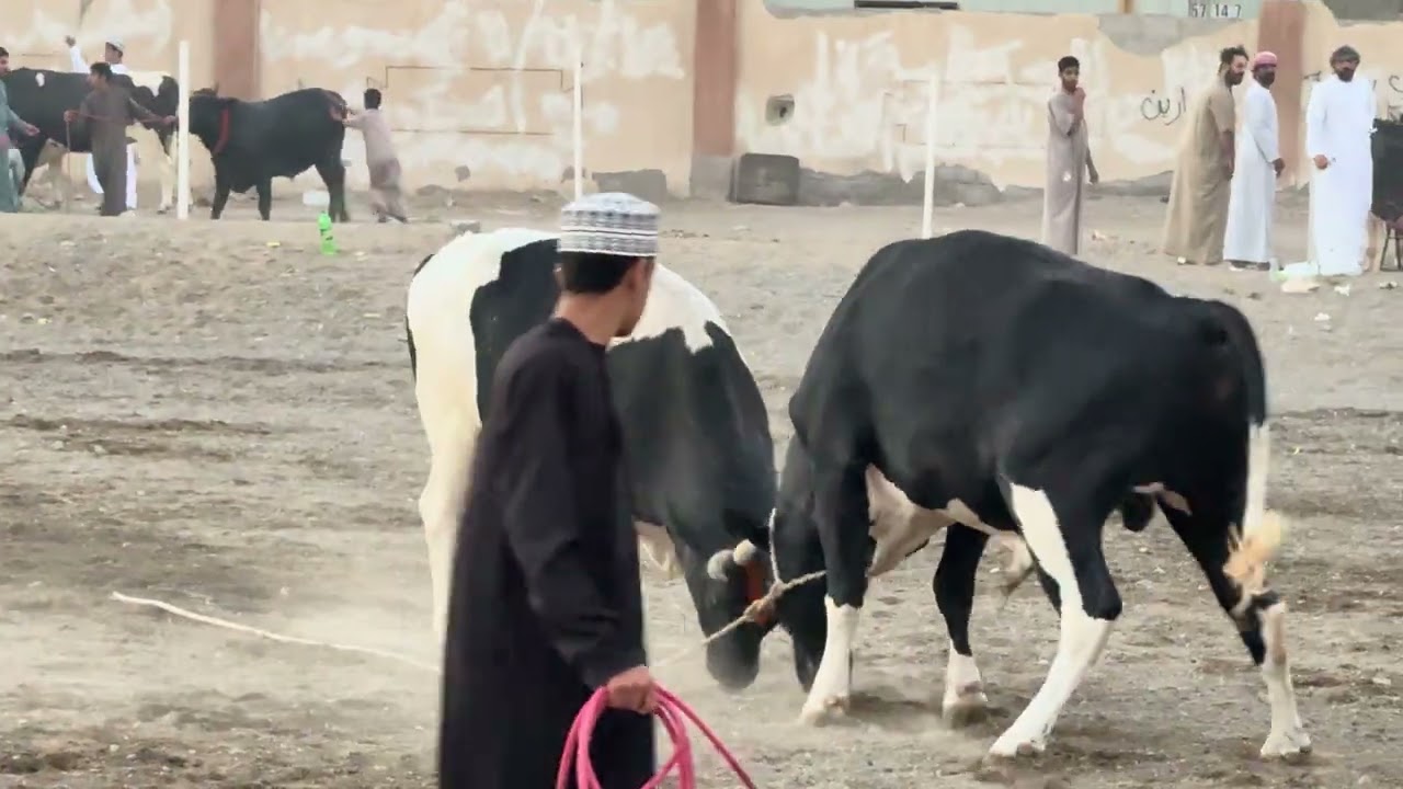 ١٦ فبراير، ٢٠٢٦