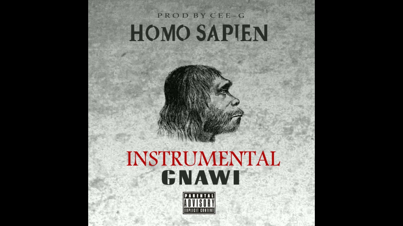 Gnawi - Homosapien (Official Instrumental) Prod. Cee-G