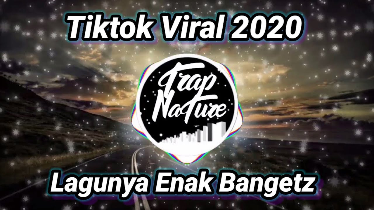 DJ SELAMAT PAGI DUNIA TIPU TIPU TIK TOK VIRAL 2020