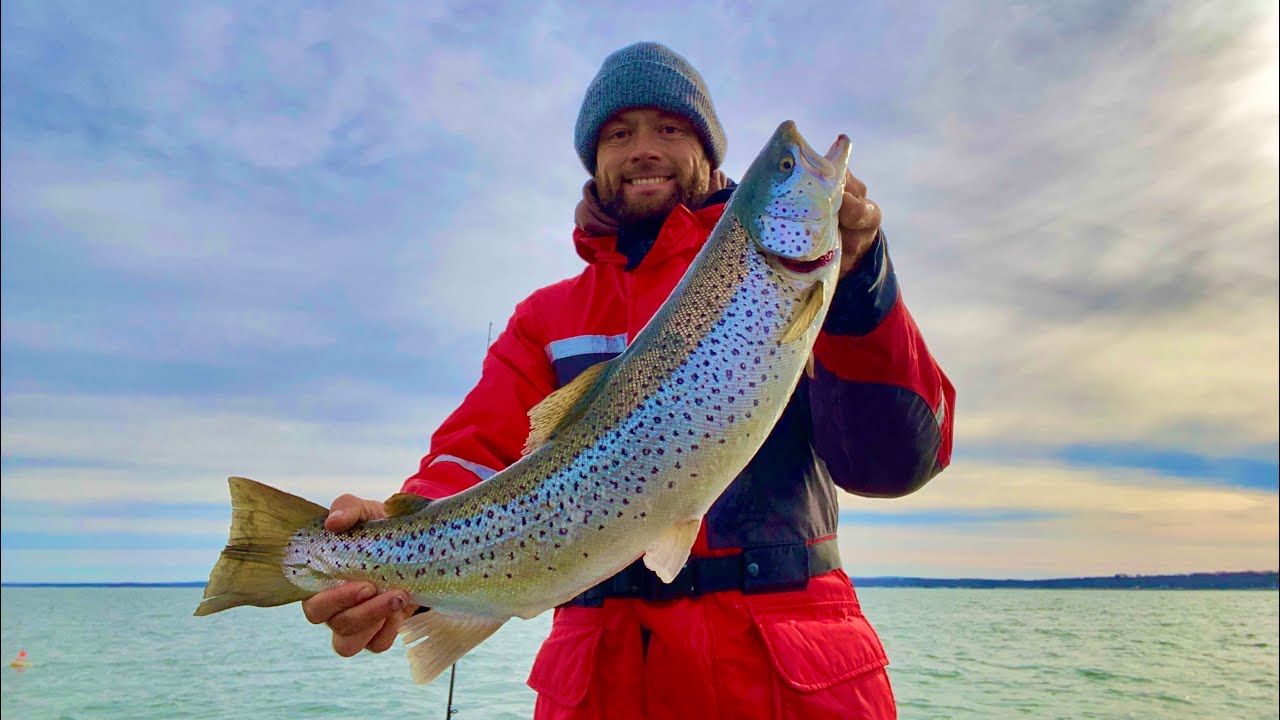 Spring Brown Trout, Oswego NY 2022
