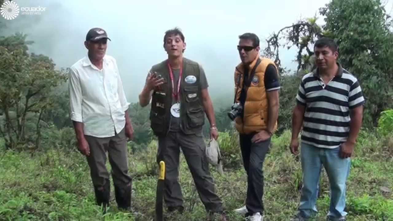TELIMBELA // EL TESORO ESCONDIDO DE BOLIVAR
