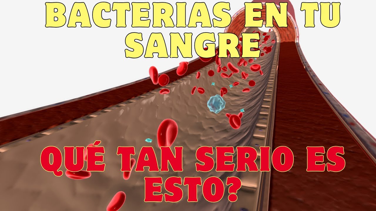 Bacteriemia: ¿Podrían las bacterias en tu sangre matarte?