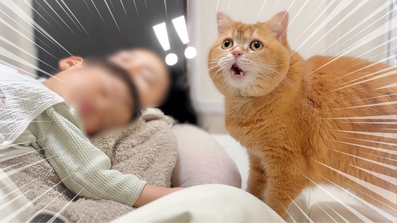 2歳の弟が心配で様子を見にきたら、大変なことに&hellip;！