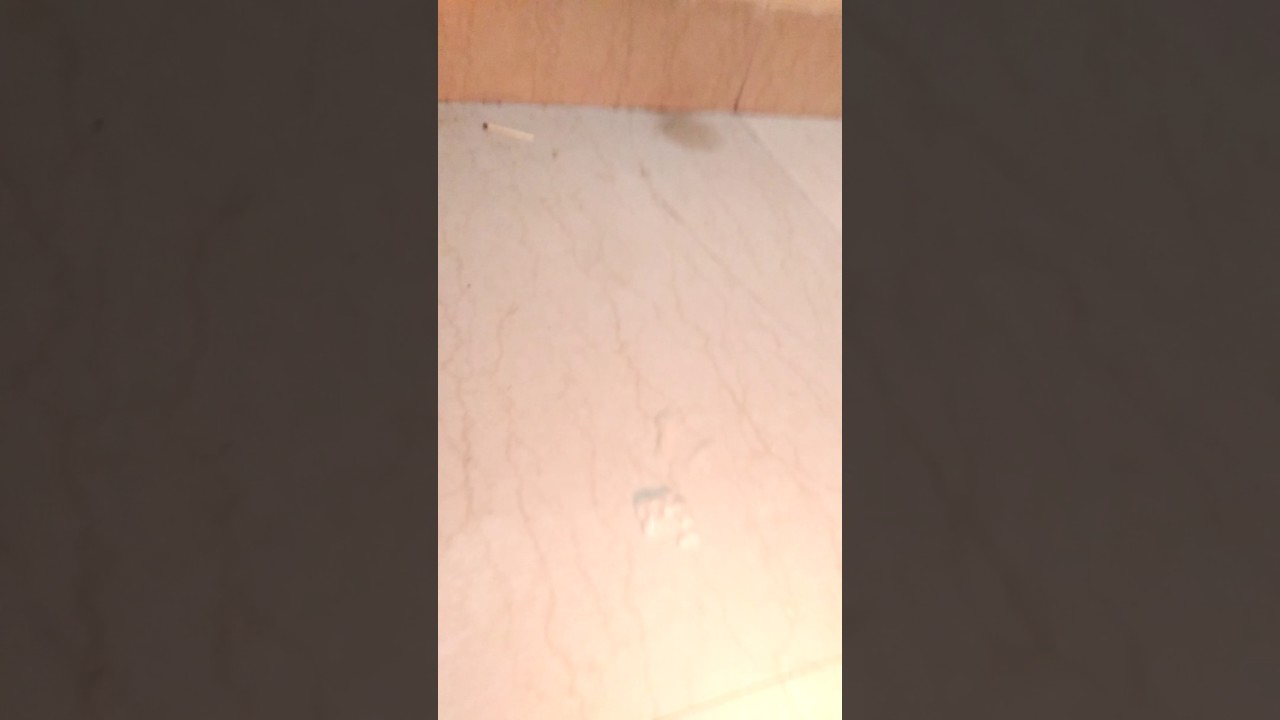 Flame on hands! 😱Simple magic trick