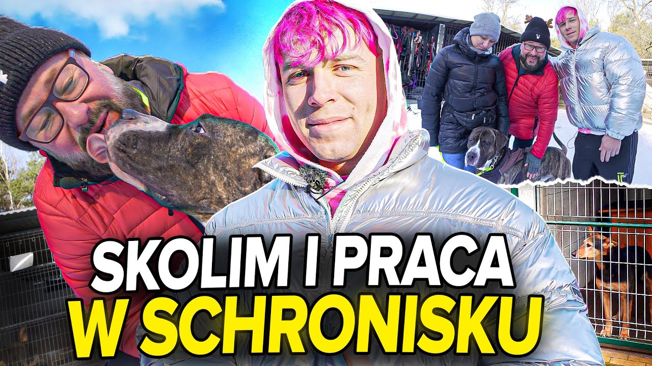 SKOLIM I PAWELEC POMAGAJĄ W SCHRONISKU | PAWELEC ROBI ROBOTĘ