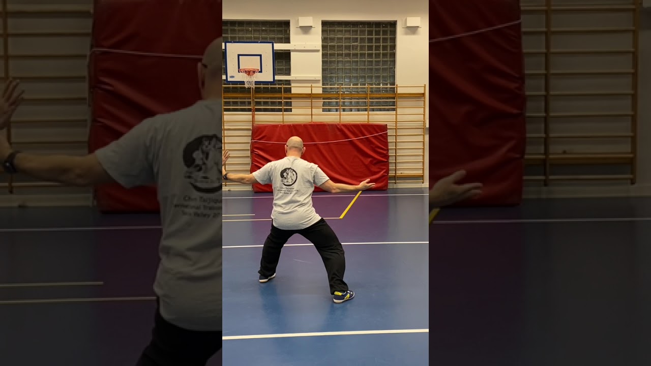Laojia Yilu 1-18 bakfra (speilvendt)