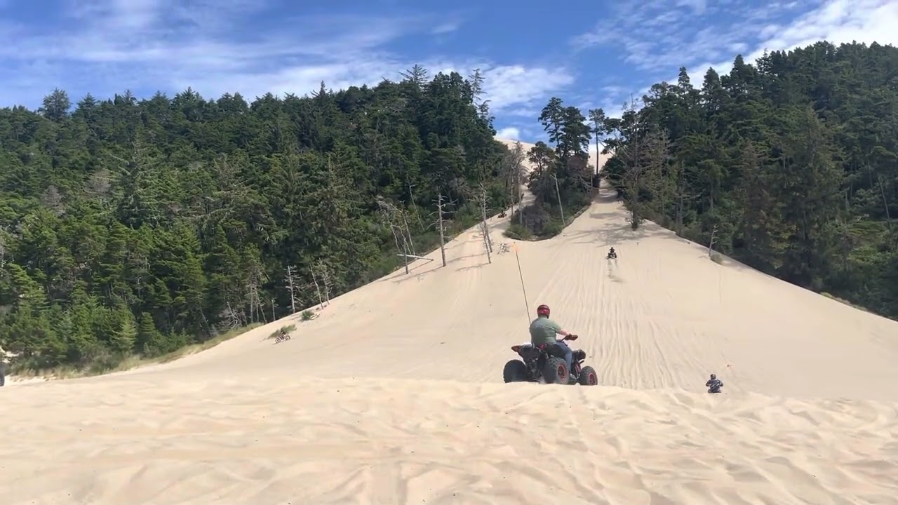 Bout It&rsquo;    Banshee Hill-DuneFest