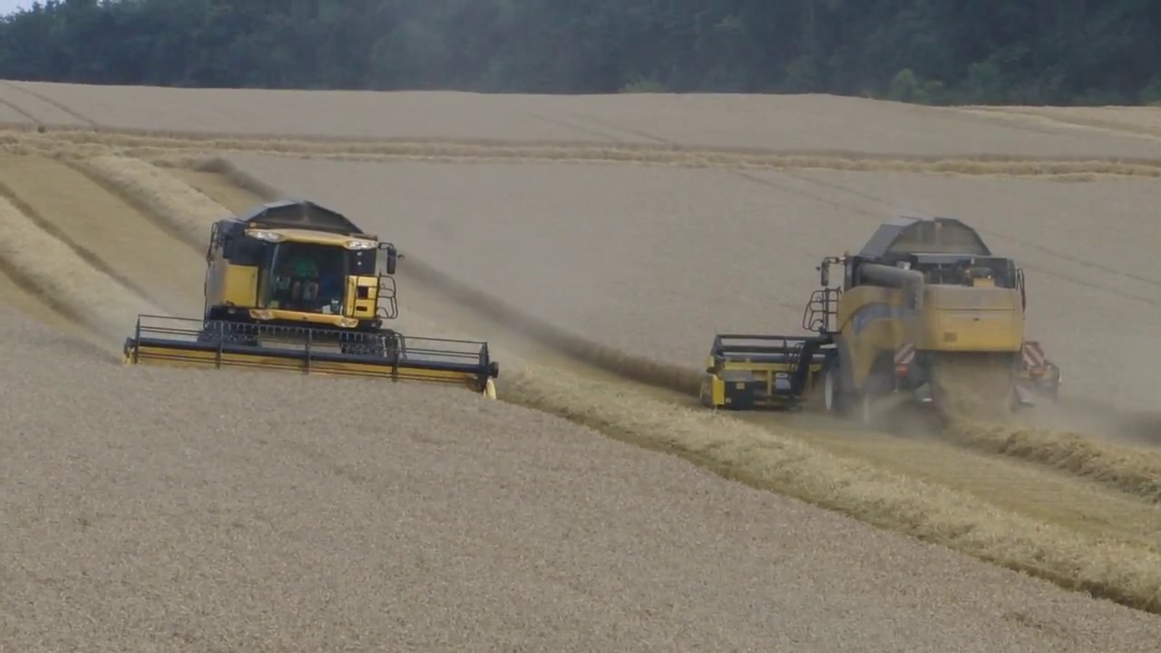 New Holland CR9060 & CX8080 WHEAT HARVEST 2011