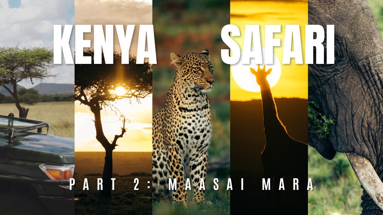 We Went on the Adventure of a Lifetime!  |  Safari in Maasai Mara, Kenya