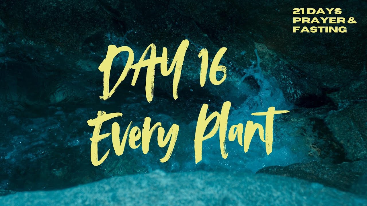 DAY 16 || EVERY PLANT