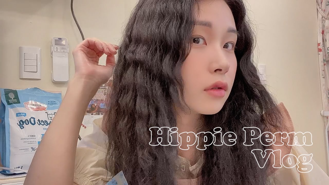 히피펌 브이로그 👩🏻‍🦱💜 | 애견미용사예니