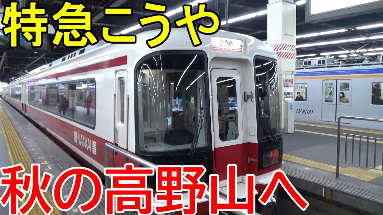 【特急こうや】高野山・世界遺産きっぷでお得に行く！秋の高野山＜なんば→極楽橋＞【高野山紅葉2020１】