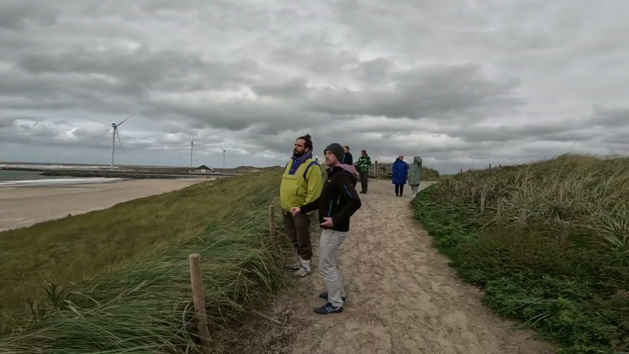 Dk Wavecamp 2025 - Molen-Check