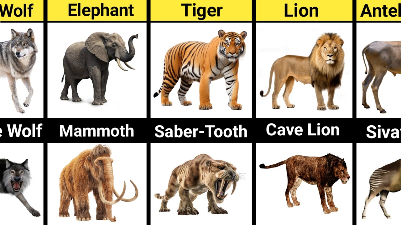 Prehistoric Animals vs Their Living Look-Alikes