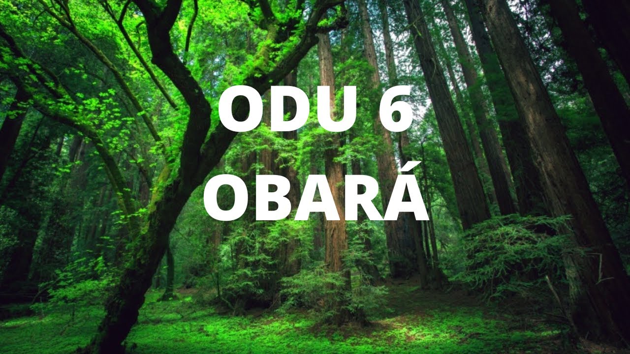 Odu 6 Obará -  Odu da Prosperidade!