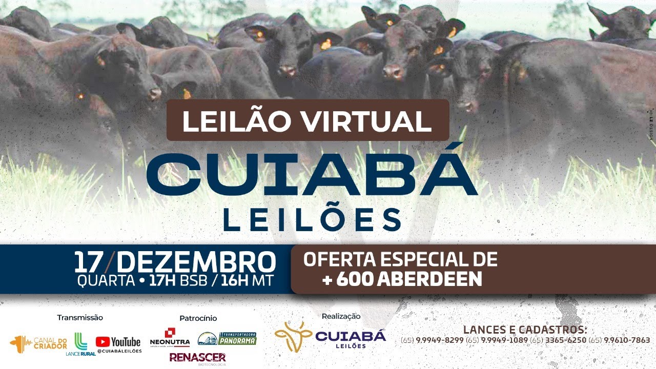 113° LEILÃO VIRTUAL CUIABÁ LEILÕES 17-12-2025.