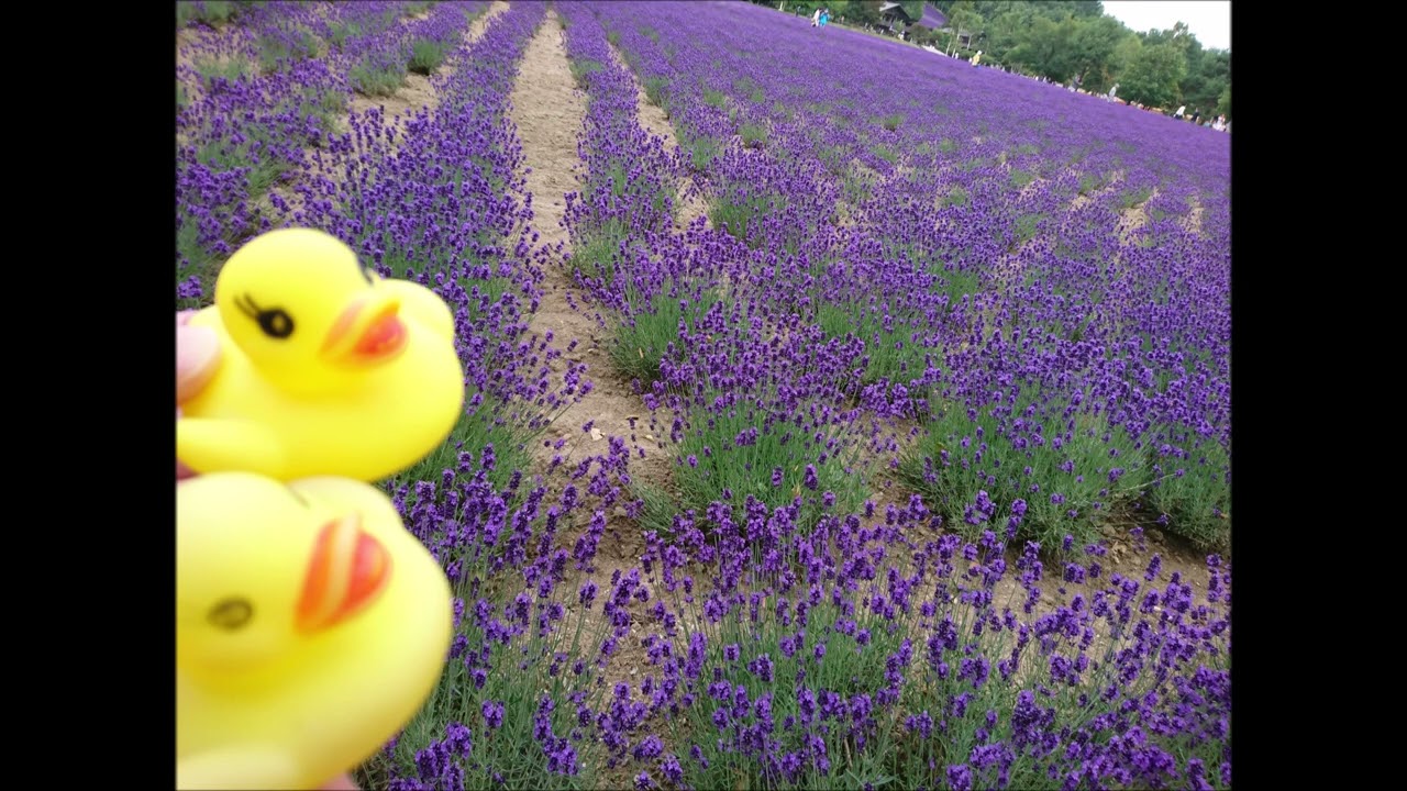 風よ光よ(快傑ライオン丸テーマ)kamen