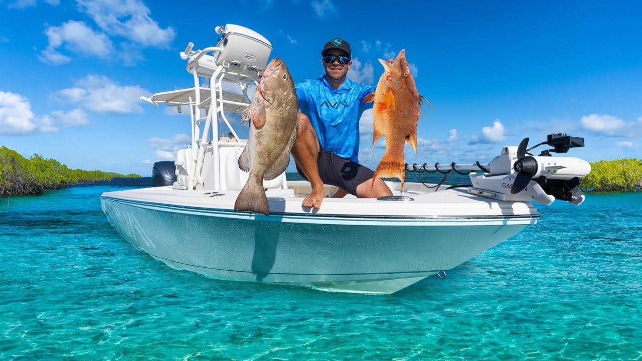 Why Every Family Deserves a Boat! | Groupers & Hogfish on Shallow Patch Reefs