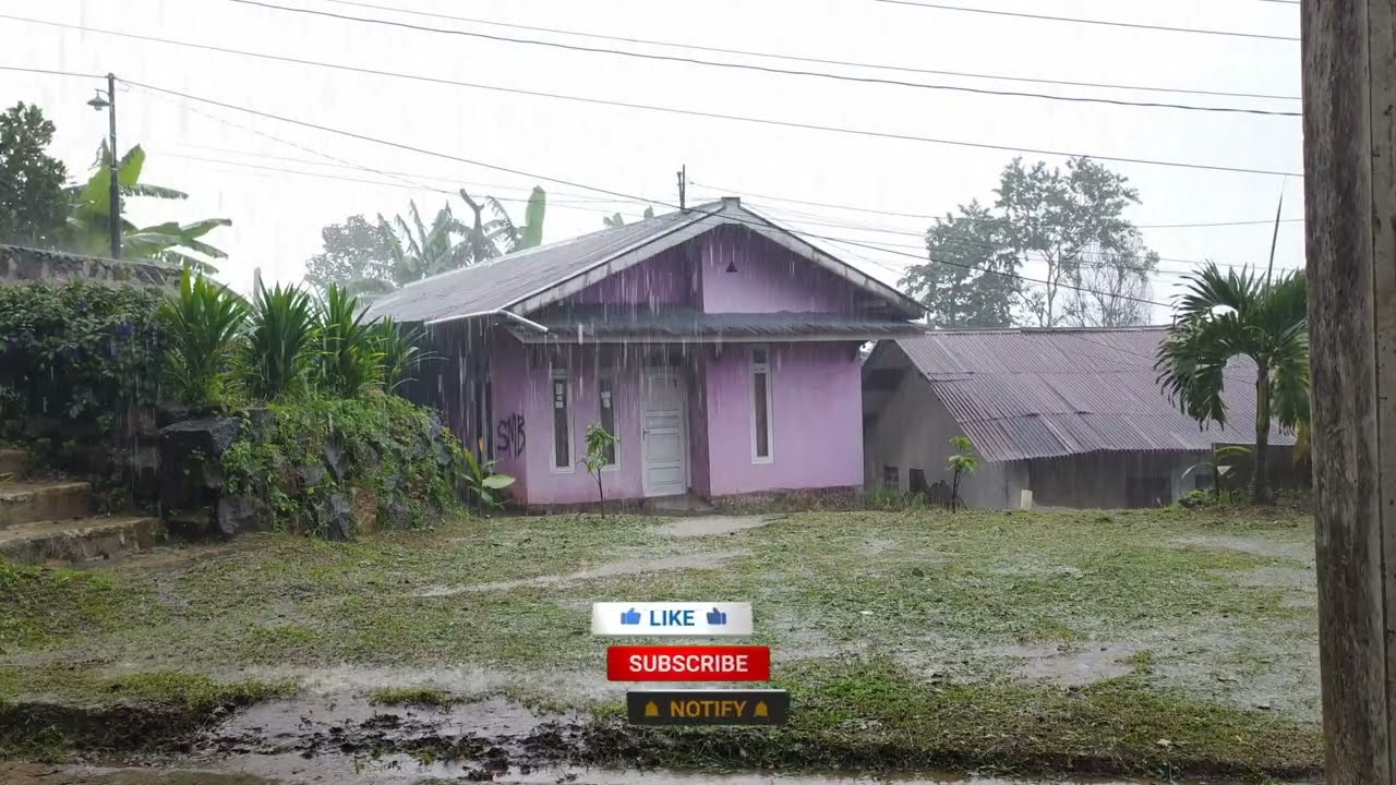 Super Heavy Rain in Local Village  Walk In Heavy Rain  Fall asleep soundly with the sound of rain