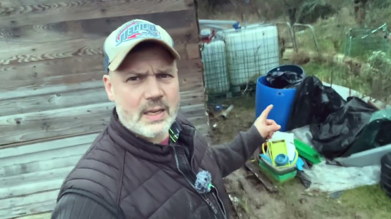 J’arrête de vous mentir : l’état réel de mon jardin ce matin (sans filtre) #episode4  #pluie