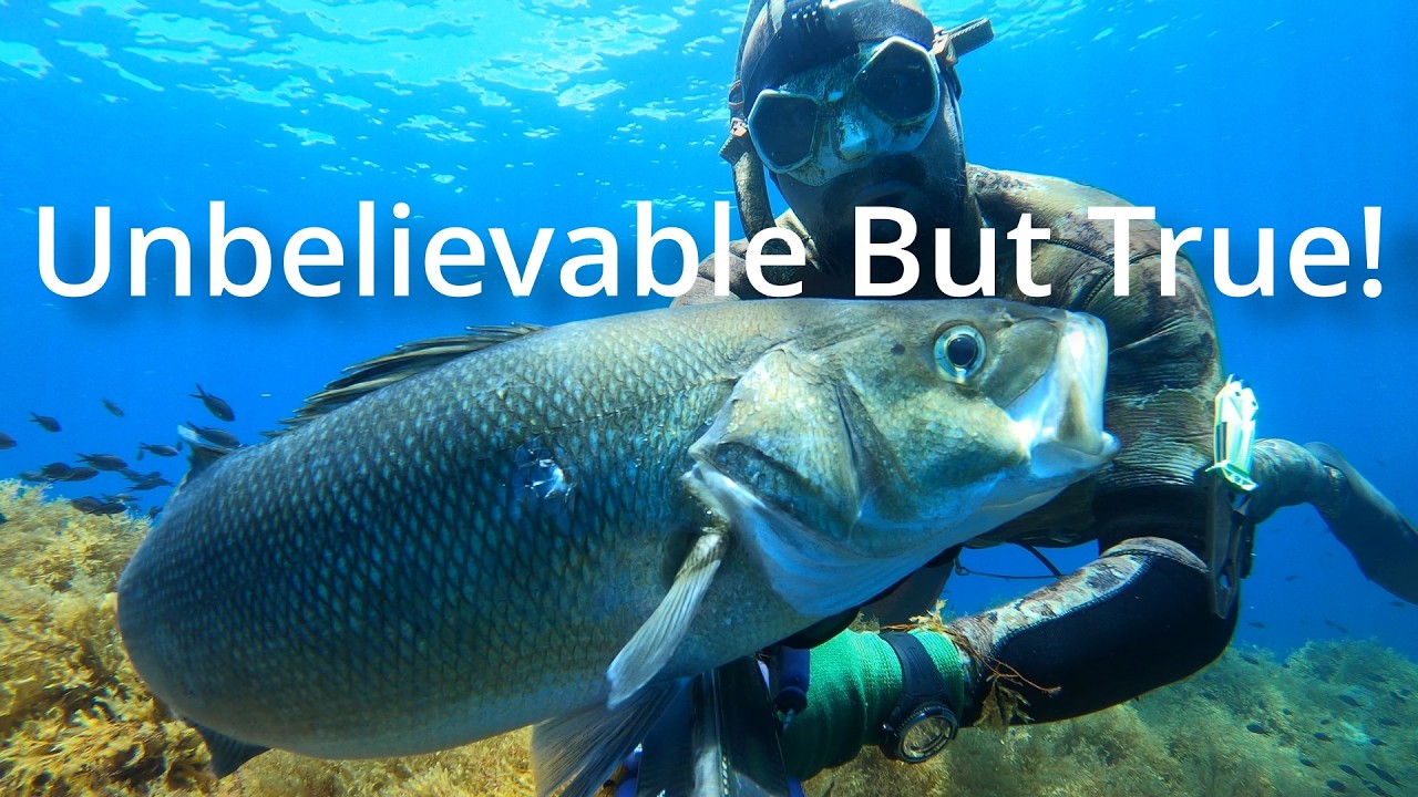 Unbelievable but true - Spearfishing Malta