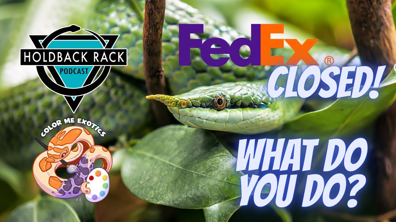 HRP 228 -  Strategies for Dealing with a Closing Fedex Ship Center with Christina