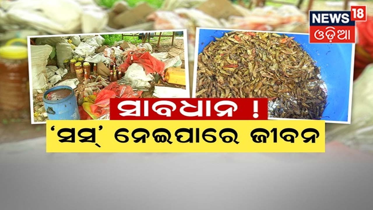 Adulterated Sauce | ଫାଷ୍ଟ ଫୁଡ୍, ଜଙ୍କ ଫୁଡ୍‌ରେ ଯେଉଁ ଟମାଟୋ ସାସ୍ ଖାଉଛନ୍ତି ତାହା ଏବେ ଅନ୍‌ ହାଇଜେନିକ