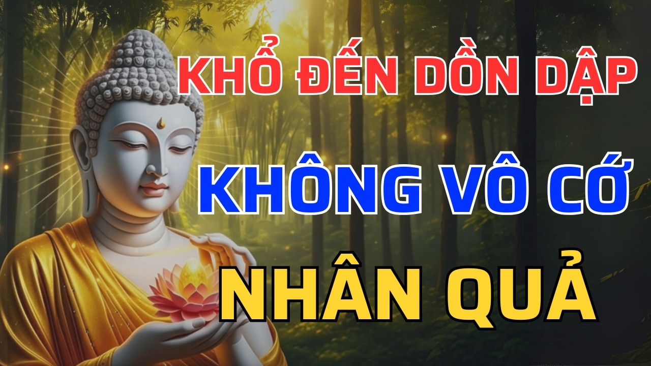 Phật Dạy: Vì Sao Có Người Tự Nhiên Gặp Hạn Liên Tiếp? Sự Thật Về Nhân Quả Không Vô Cớ