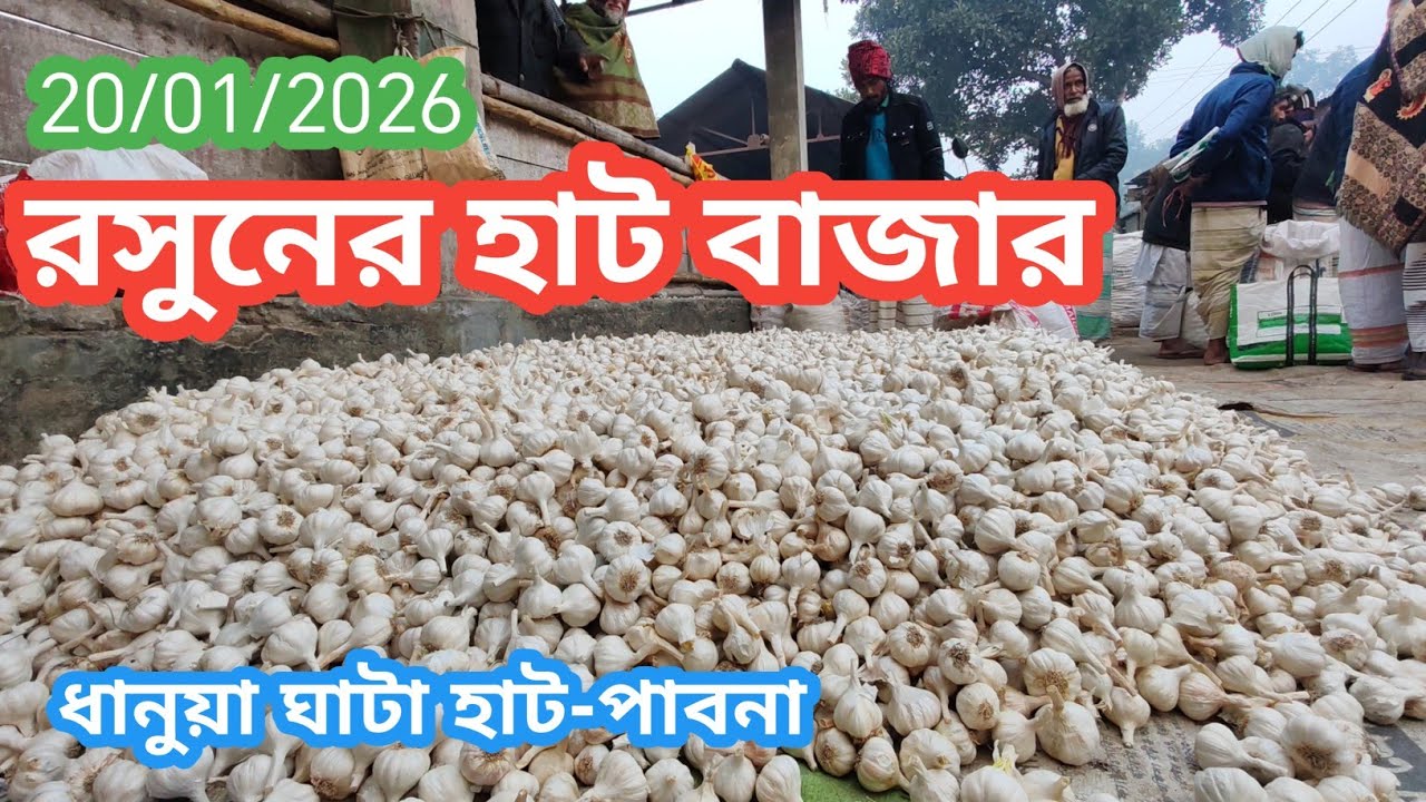 20 January 2026 আজকের রসুনের বাজার দর। Garlic market price rate in pabna Bangladesh 