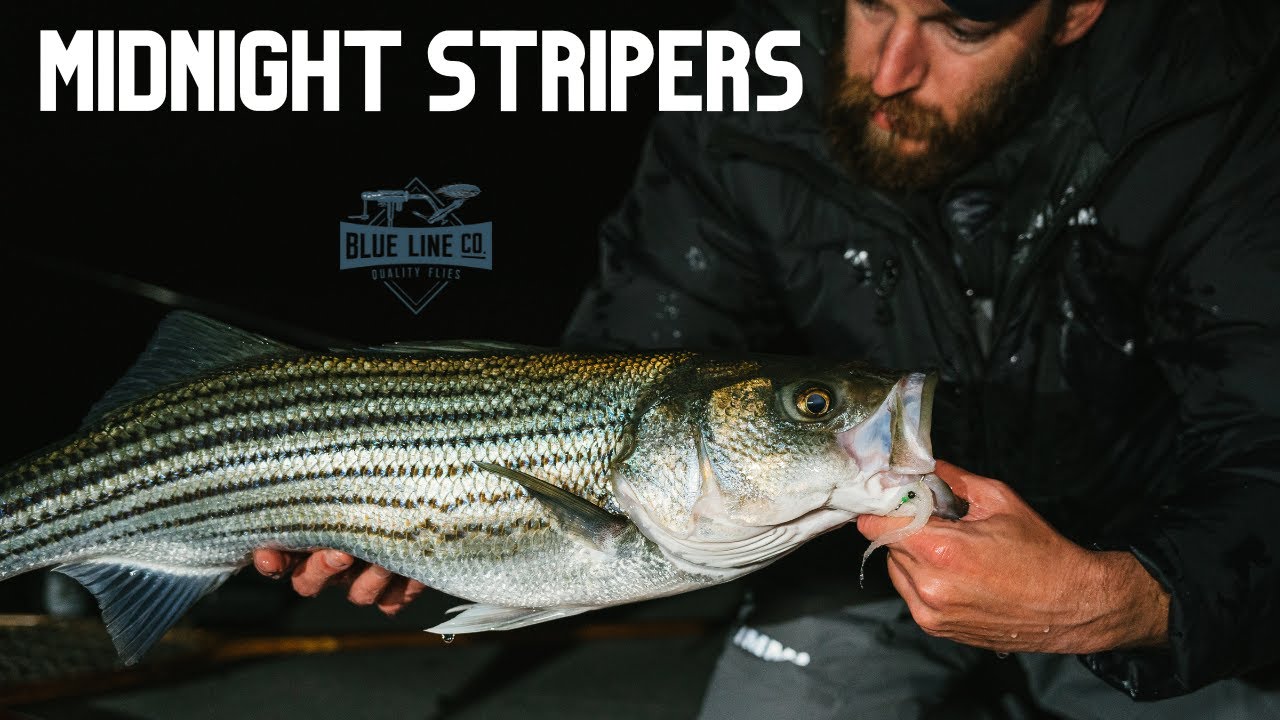 Midnight Stripers | Dock Light Fly Fishing for Striped Bass & Our Favorite Gear