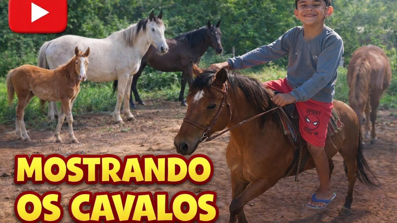 #cavalos 