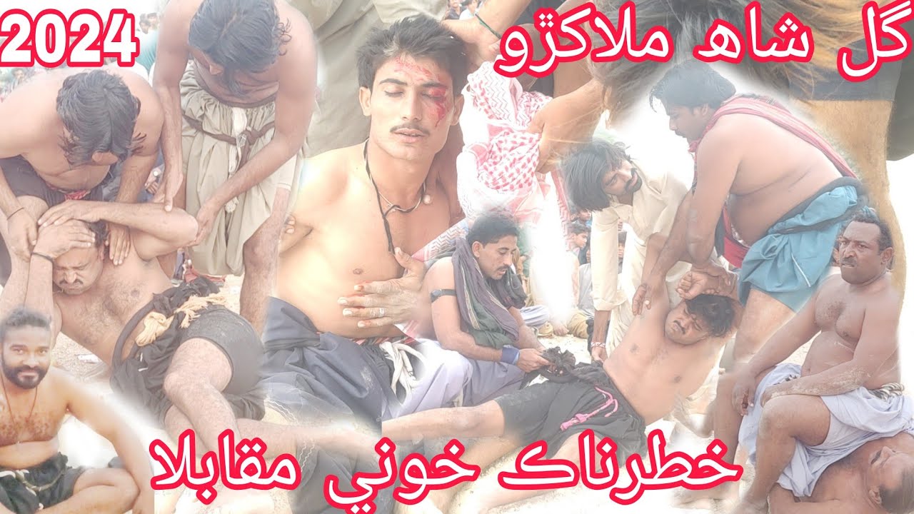 Gul Shah Badshah Malakhro Sari Kohistan November 17, 2024 video219.malakhro Pahalwan