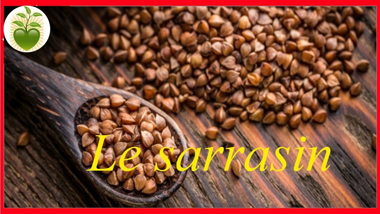 Le sarrasin: Ami du système cardio-vasculaire, du diabétique et protecteur du cancer.