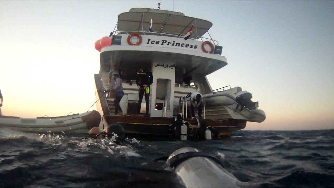 Straits of Tiran boat safari, day 1