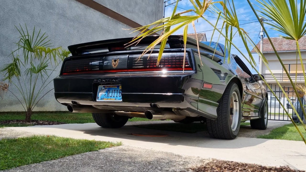 Trans Am GTA - Cat Delete, Sound, Test Drive, Take Off