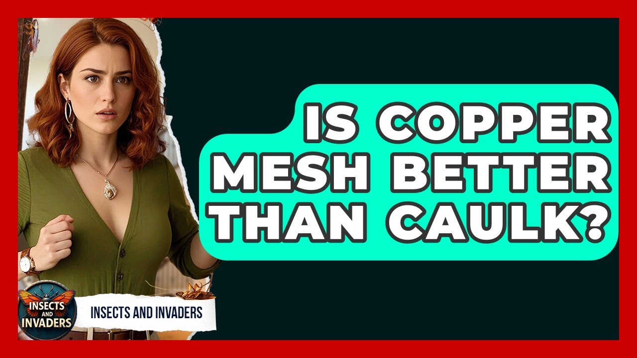 Is Copper Mesh Better Than Caulk? - Insects and Invaders